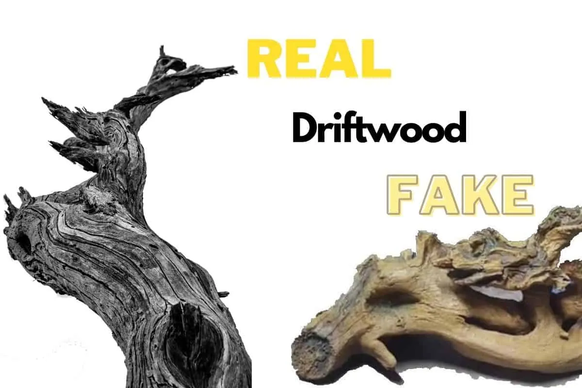 Real and Fake Driftwood