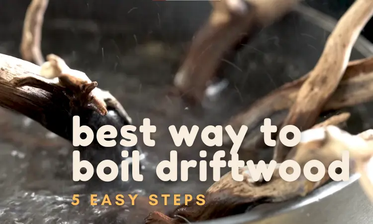 best way to boil driftwood