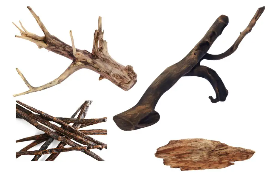 Where-to-get-driftwood