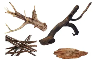 The Properties of Driftwood: A Comparison to Tree Wood