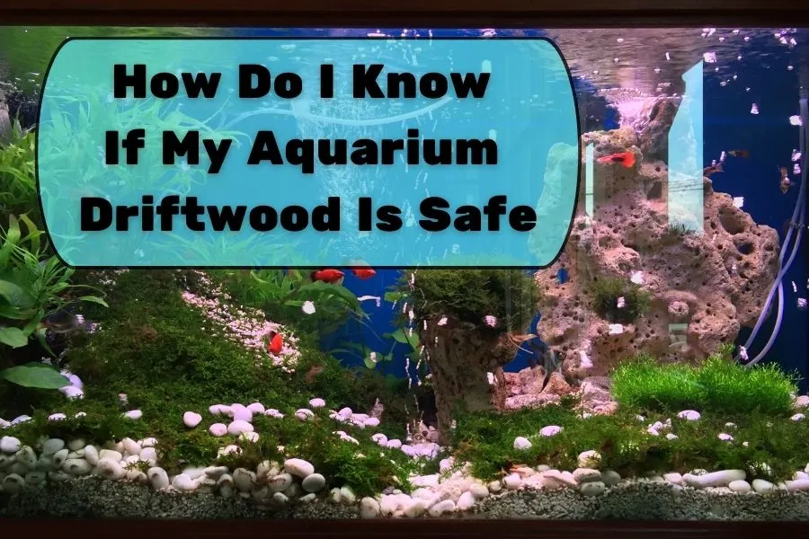 How Do I Know If My Aquarium Driftwood Is Safe