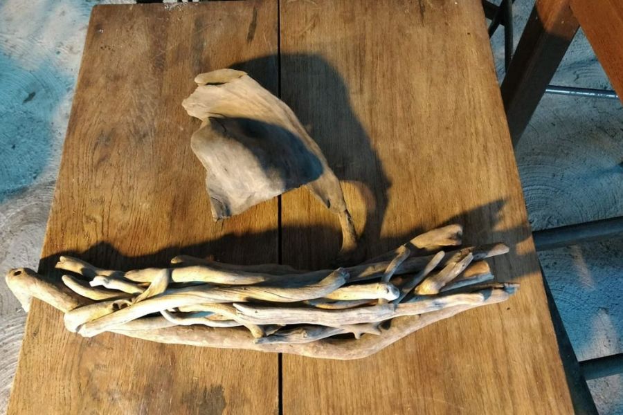 How-long-does-driftwood-last-1