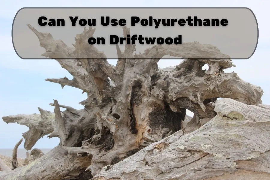 Can You Use Polyurethane on Driftwood