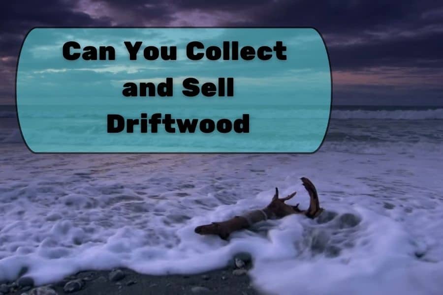 Is It Legal To Collect Driftwood (1)
