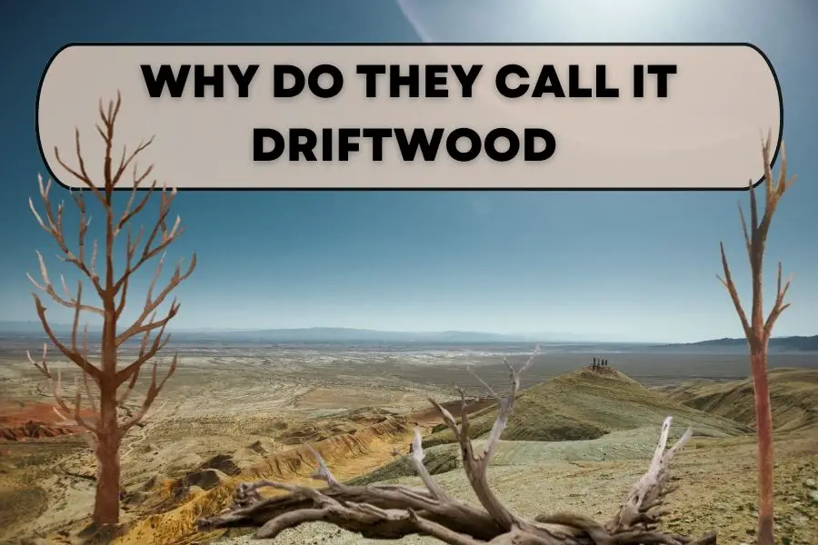 WHY DO THEY CALL IT DRIFTWOOD