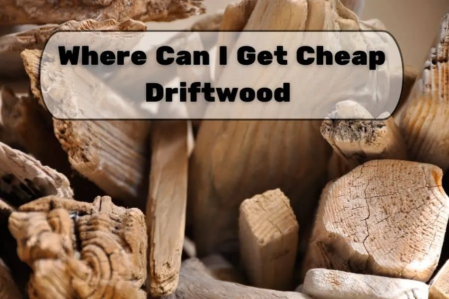 Where Can I Get Cheap Driftwood 