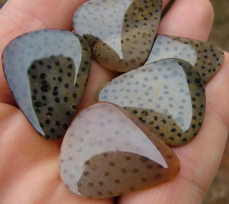 guitar picks made from petrified palmwood from Texas